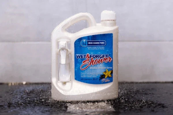 Why Shower Mould Keeps Returning – Even After You Clean It