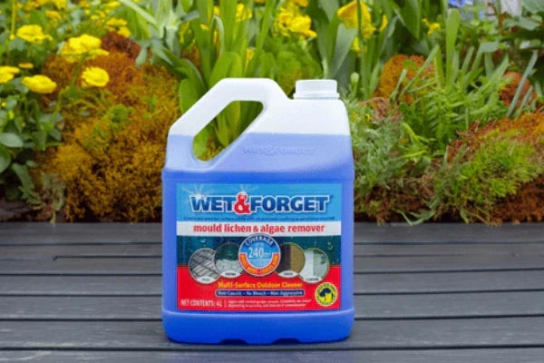 Winter Garden Prep: The 30-Minute Outdoor Reset That Saves You a Spring Nightmare