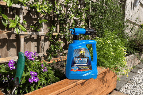 What is the best way to clean exterior windows safely?