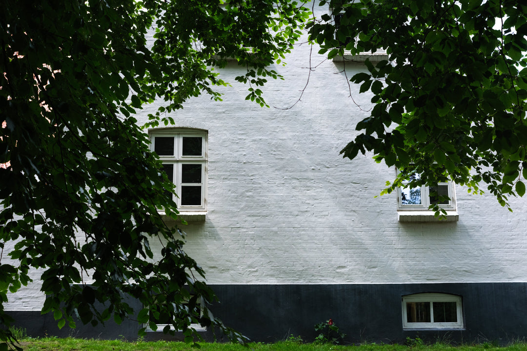 Green Stains on Rendered Walls? Here's Why They Appear and How Wet & Forget Can Be Used on Rendered Walls