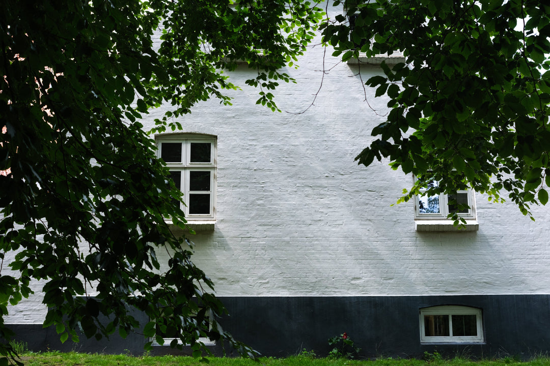 Green Stains on Rendered Walls? Here's Why They Appear and How Wet & Forget Can Be Used on Rendered Walls