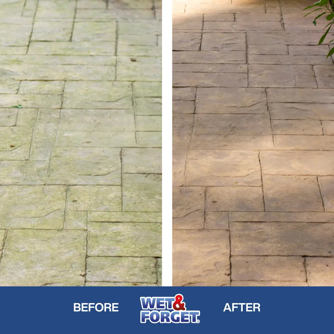 Wet Forget Concentrate Outdoor Mould Lichen Algae Remover Wet wet-forget-concentrate-outdoor-mould-lichen-algae-remover-wet