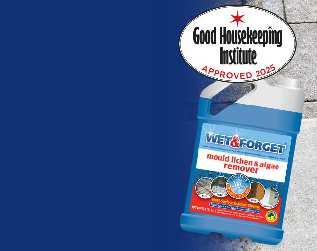 Wet & Forget mould lichen & algae remover bottle with Good Housekeeping Institute approval logo on a blue background.