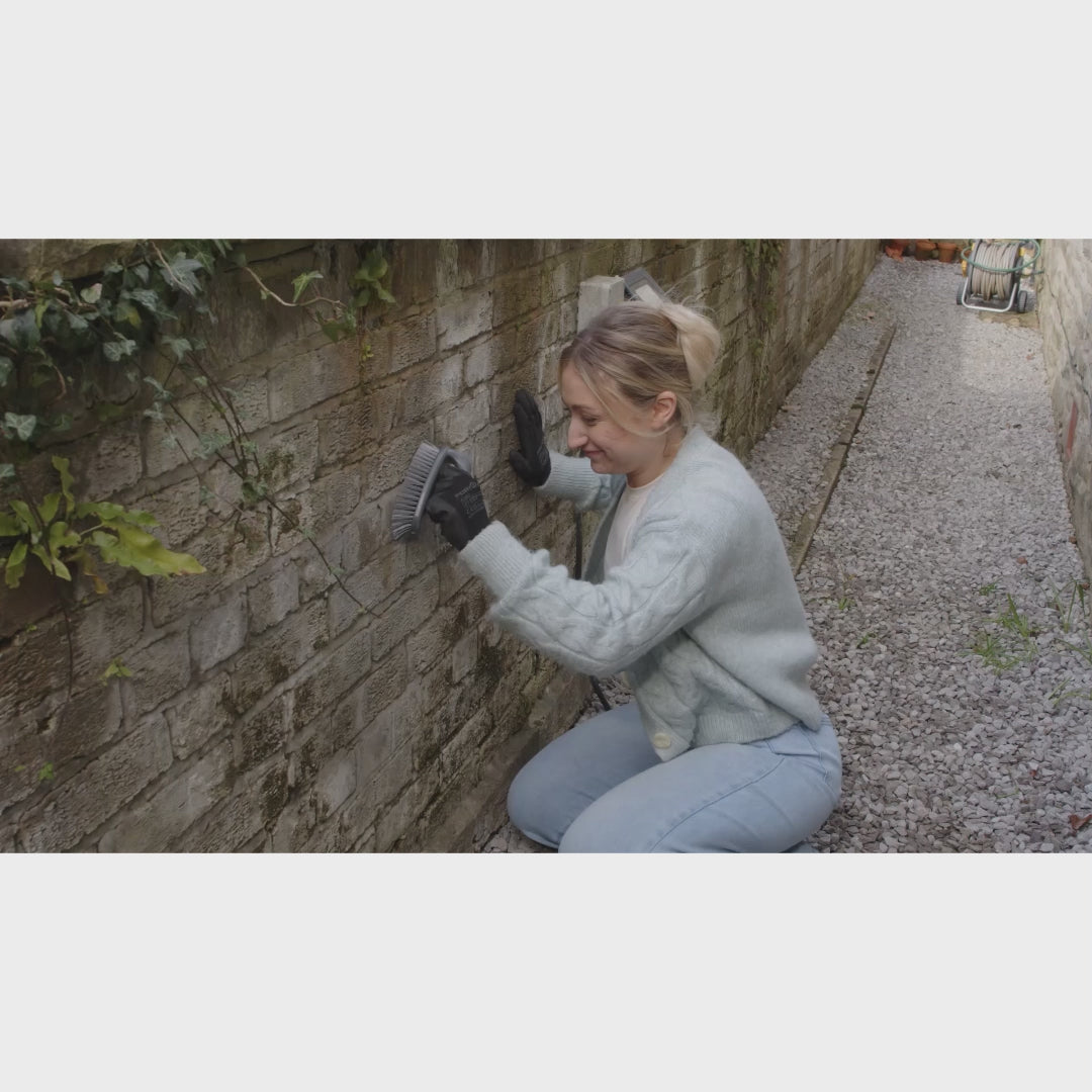 Rapid Application Outdoor Mould, Lichen & Algae Remover